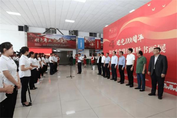 可爱小猫向上跳